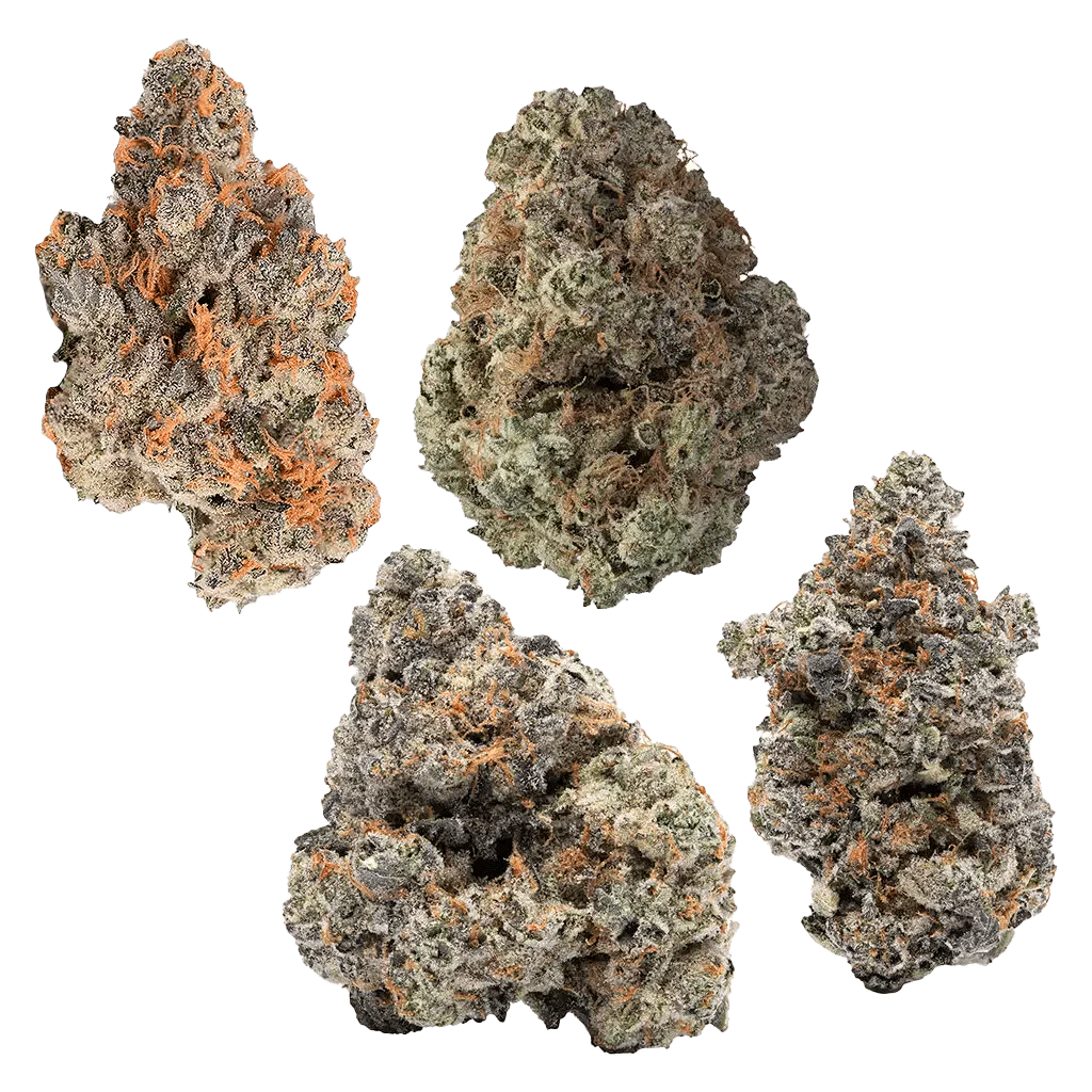 4 Cultivar Flower Pack - Image 2