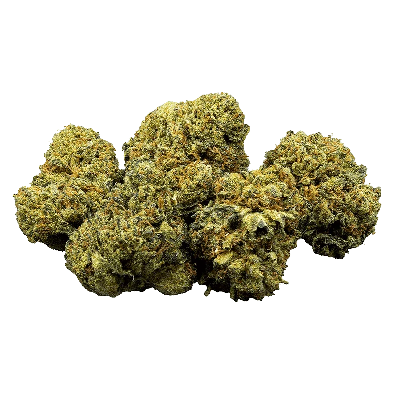 Golden Goat - Image 2