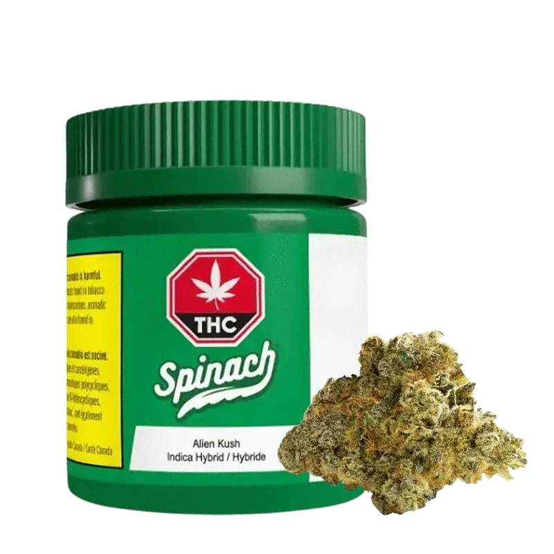 Alien Kush