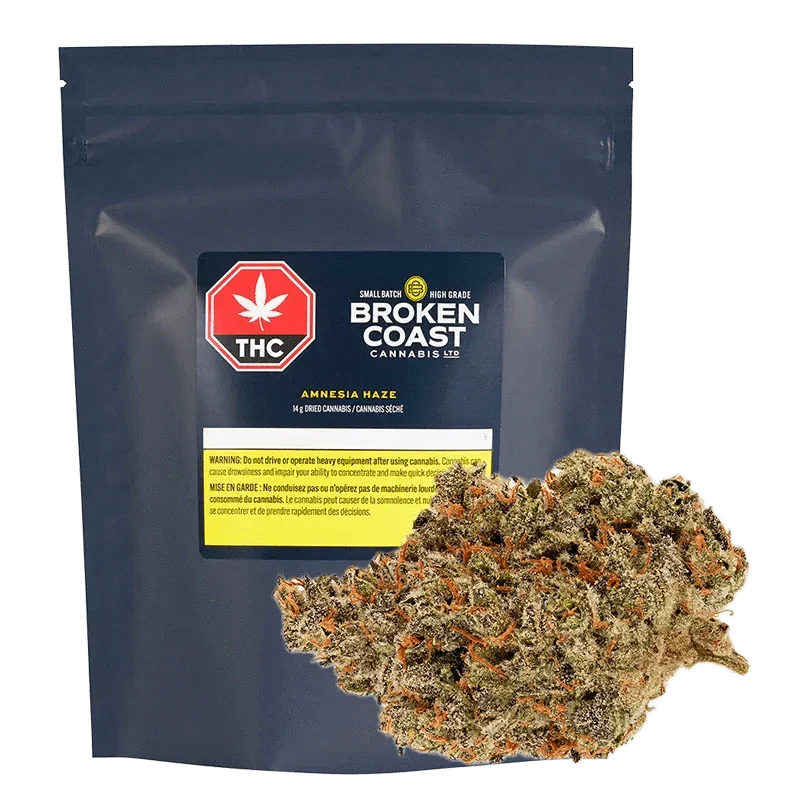Amnesia Haze