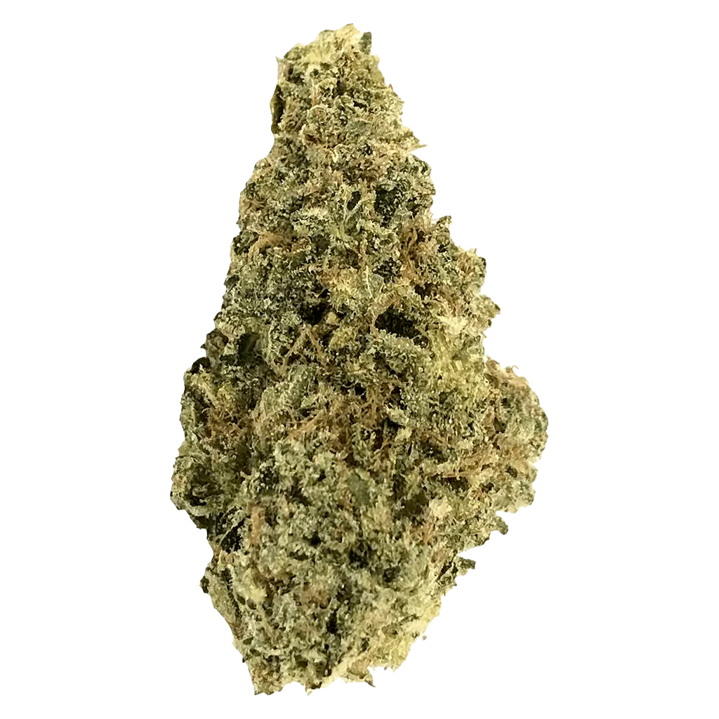 AAA+ Indica - Image 2