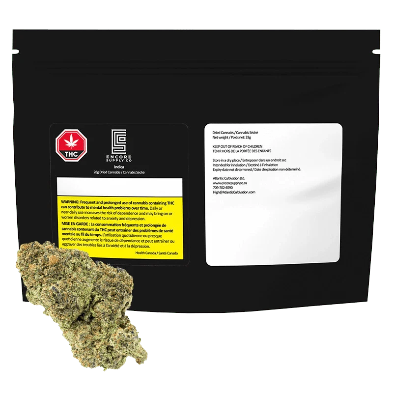 AAA+ Indica