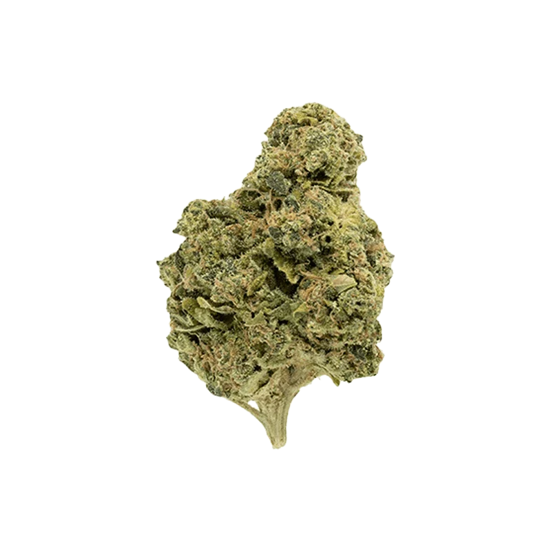 Garlic Fumez - Image 2
