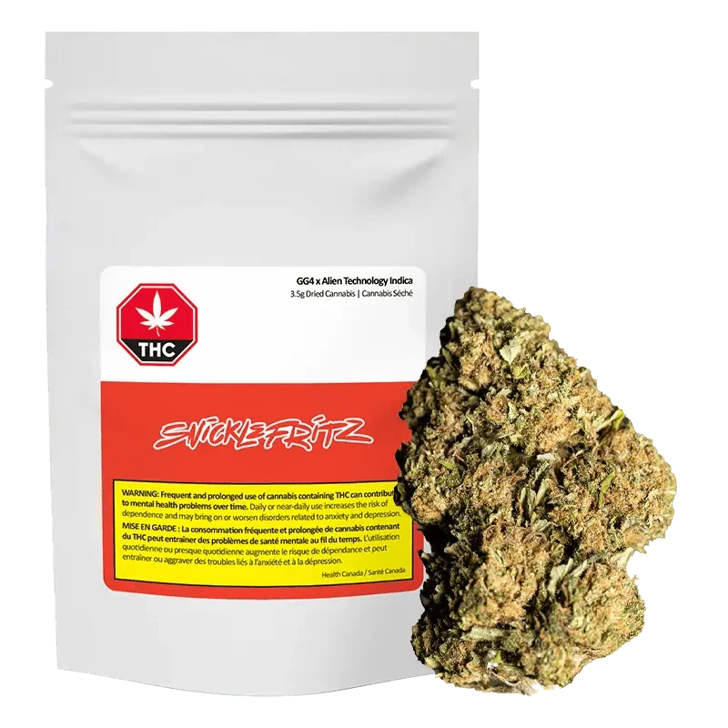 GG4 x Alien Technology