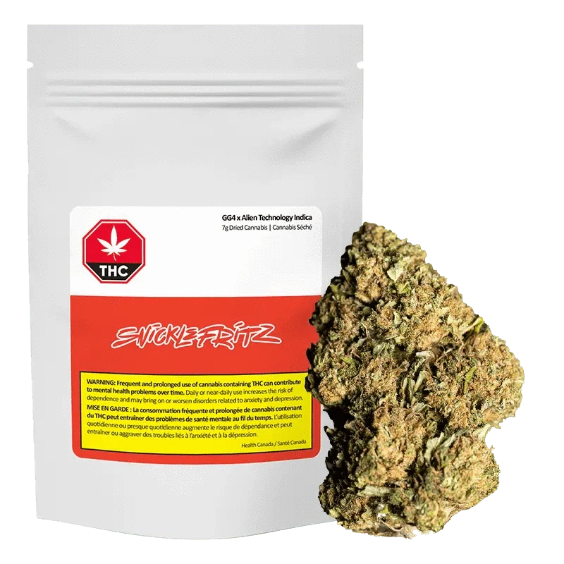 GG4 x Alien Technology