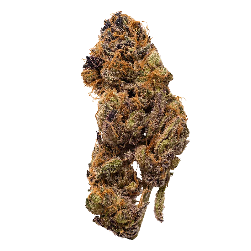 Guava Barz - Image 2