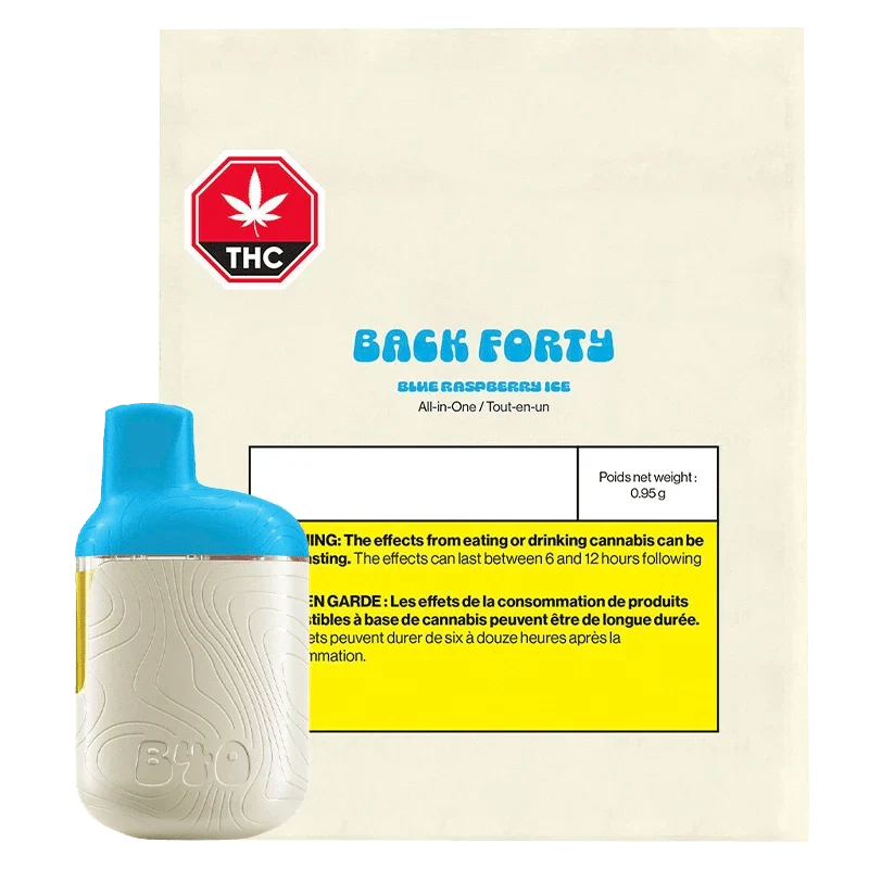 Blue Raspberry Ice AIO Disposable Vape