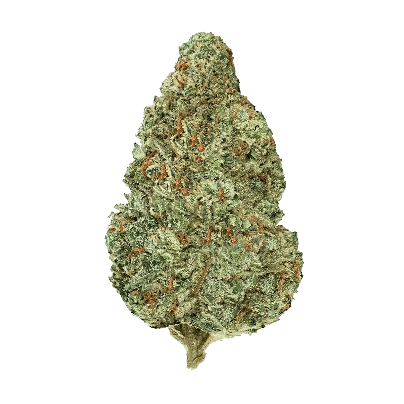 Chemzilla - Image 2