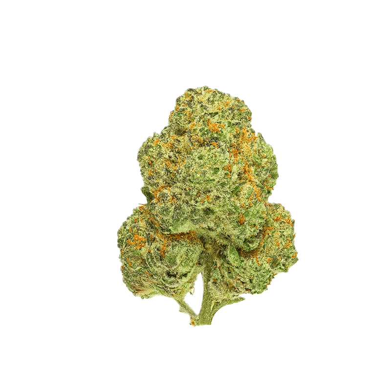 Chemango Kush - Image 2