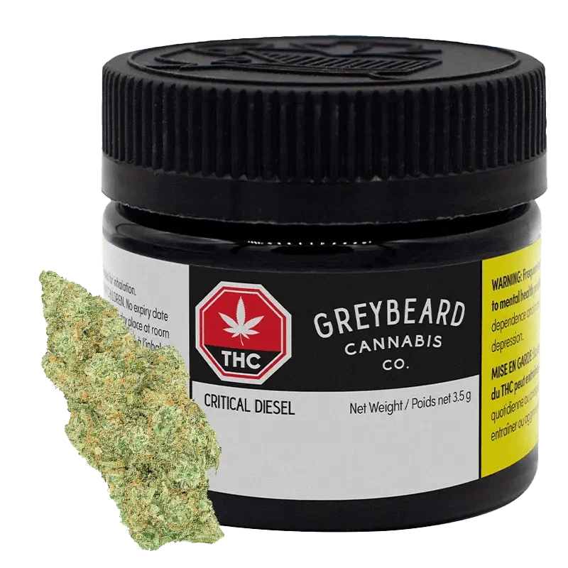 Critical Diesel
