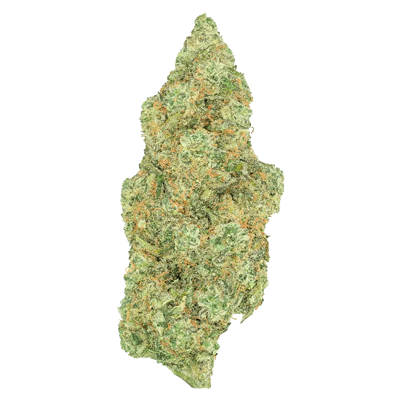 Critical Diesel - Image 2
