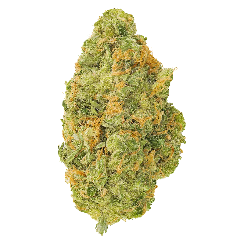 Neon Sour - Image 2