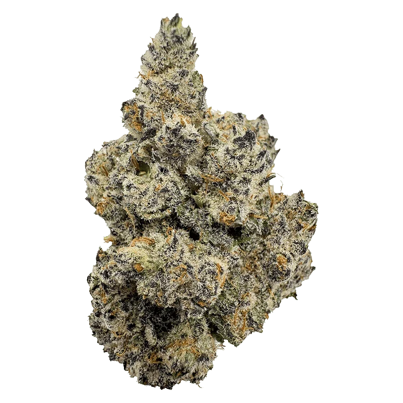 Limited Drops - Image 2