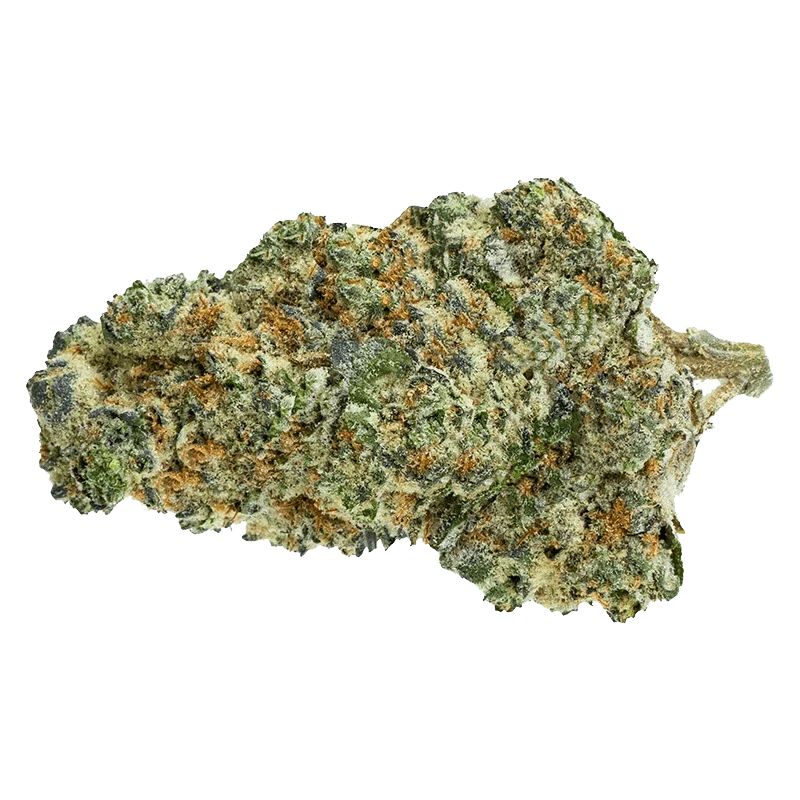 Big White - Image 2