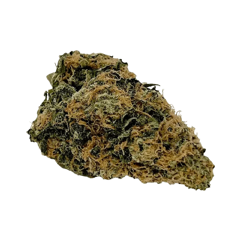 MAC 2 - Image 2