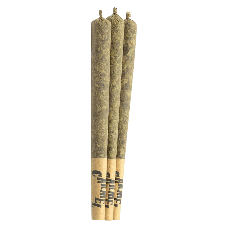 Straight Cash Homie PR 3 x 0.5 g - Image 2