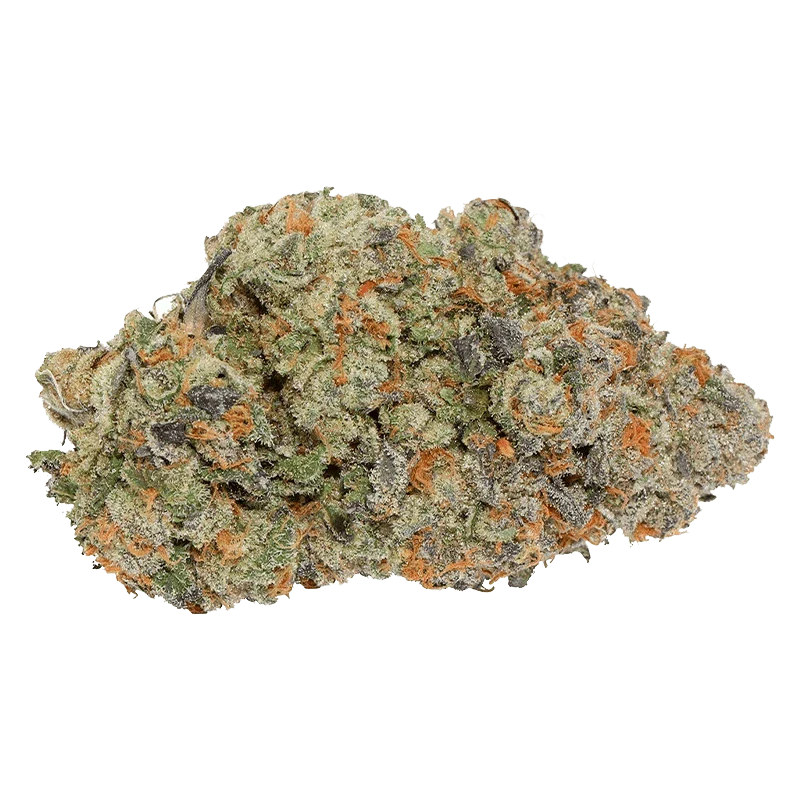 Thin Mint x Jealousy - Image 2