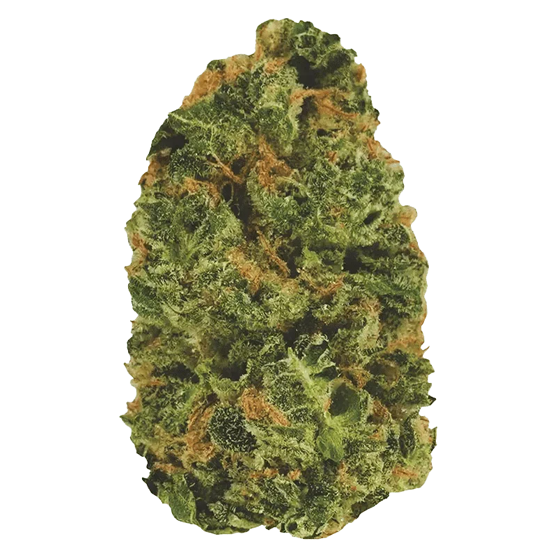 Do Si Dos - Image 2