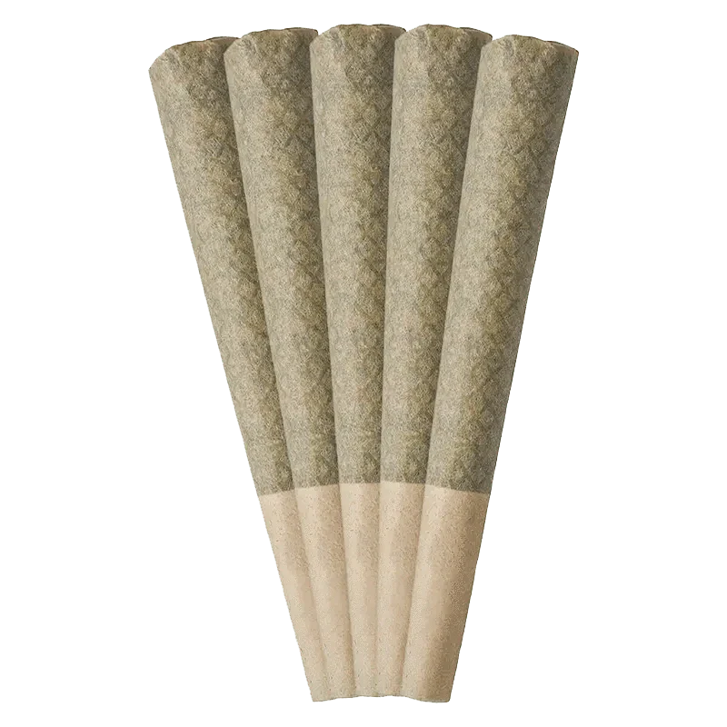 Porto Leche PR 5 x 0.6 g - Image 2