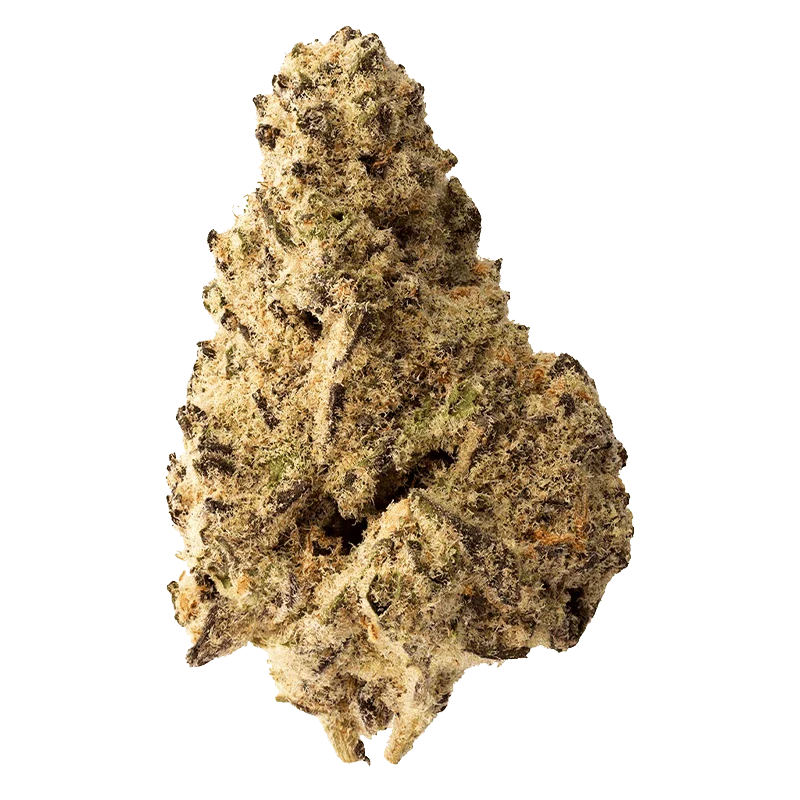 Platinum Punch - Image 2