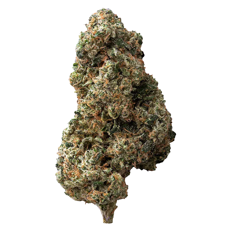 Sticky Bunz - Image 2