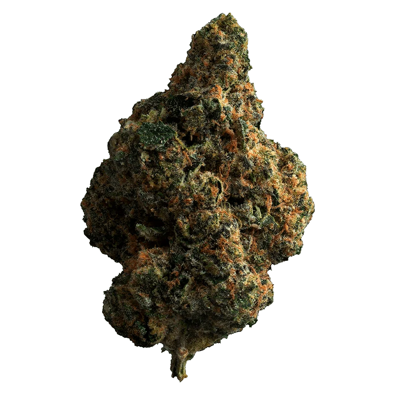Tropicana Cookies - Image 2