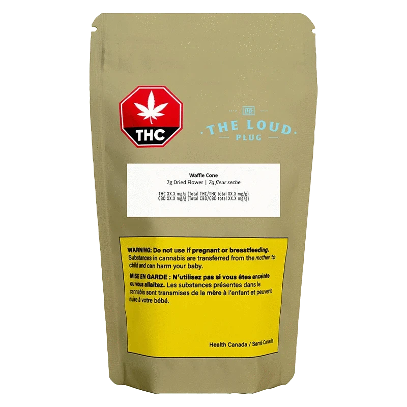 Waffle Cone - Image 3