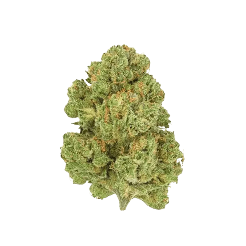 Moon Berry - Image 2