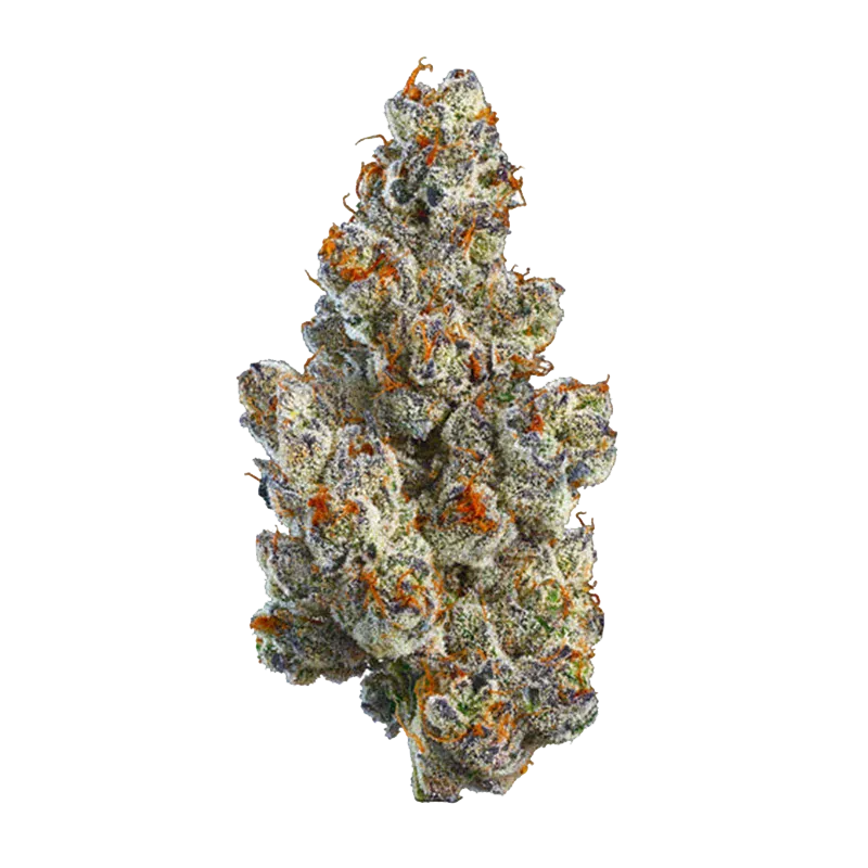BC Organic Bling Blaow - Image 2