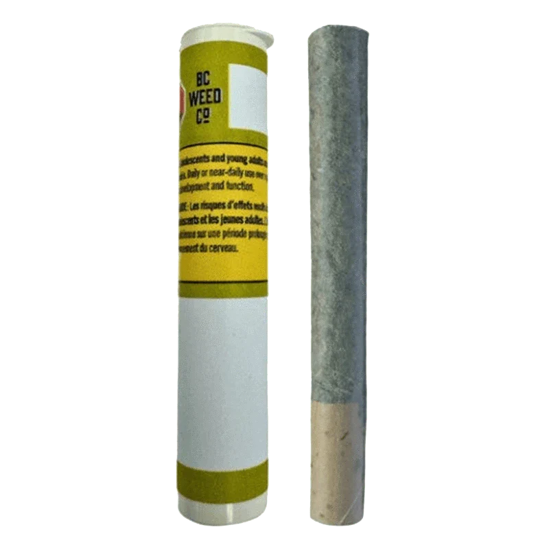 Coco Bamba PR 1 x 1 g