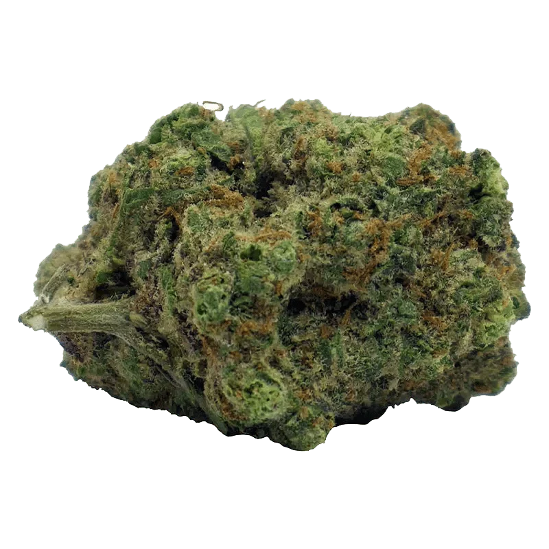 Blood Orange Kush - Image 2