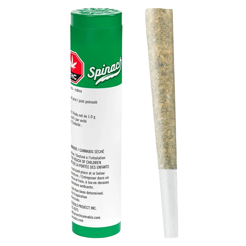 GMO Cookies PR 1 x 1 g