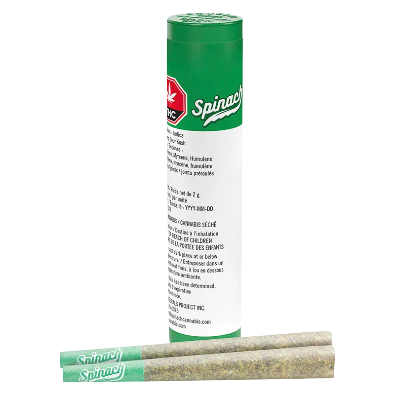 GMO Cookies PR 2 x 1 g