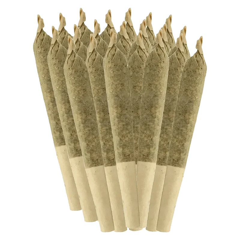 Dia De Los Muertos PR 20 x 0.35 g - Image 2