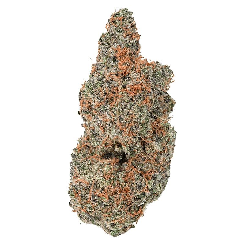 Strawberry Gary - Image 2