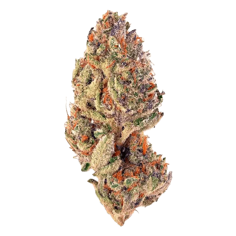 Trop Cherry - Image 2