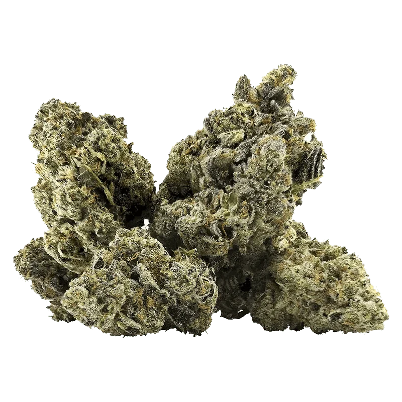 Galactica OG - Image 2