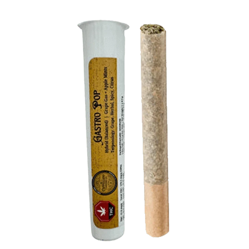 Gastro Pop PR 1 x 0.5 g