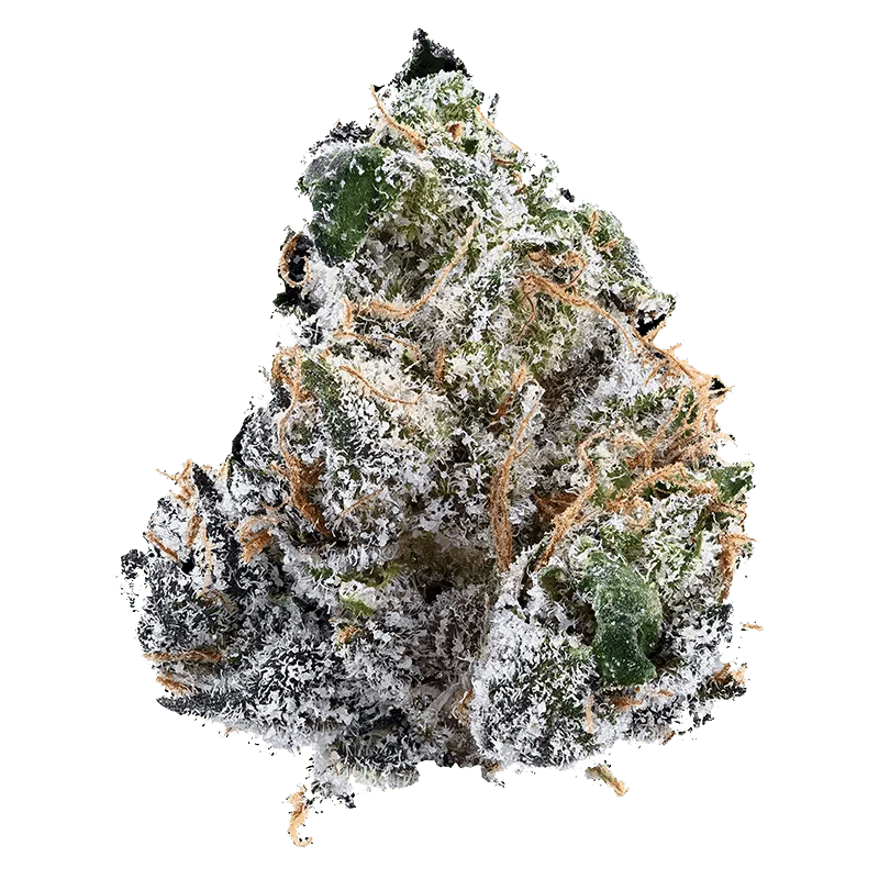 Guava Jam - Image 2