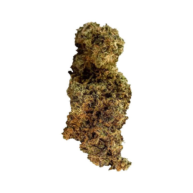King Sherb - Image 2