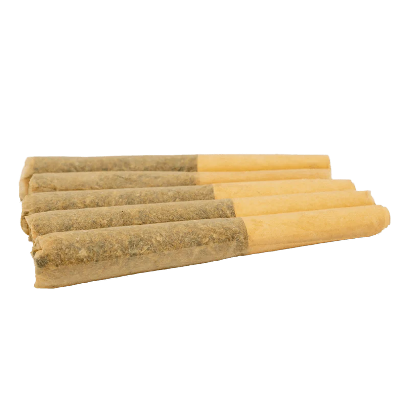 Charlottes Glue PR 5 x 0.5 g - Image 2