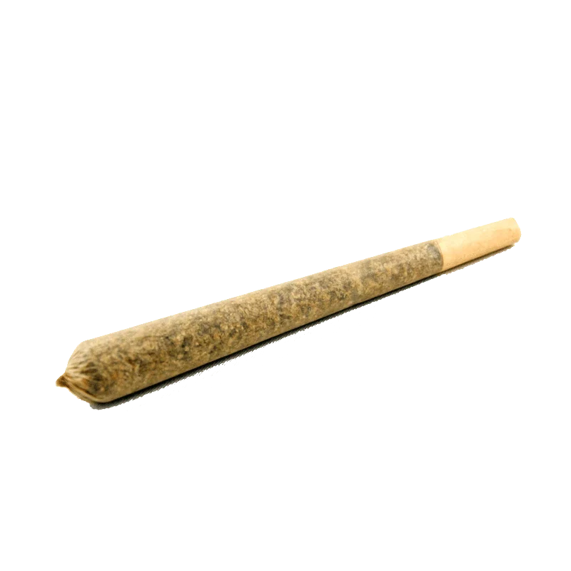 Irie Rolls PR 10 x 0.5 g - Image 2