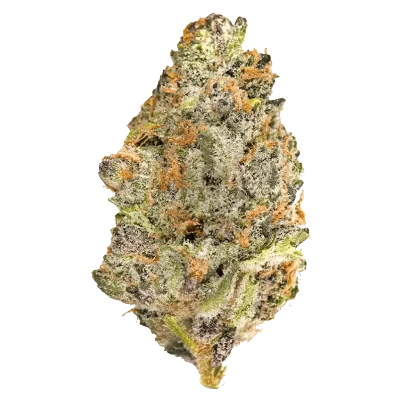 Platinum Series - Image 2