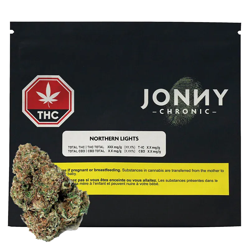 Northern Lights