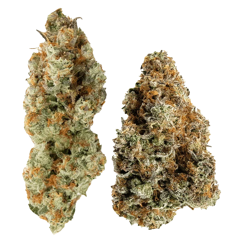 Yin Yang - Image 2