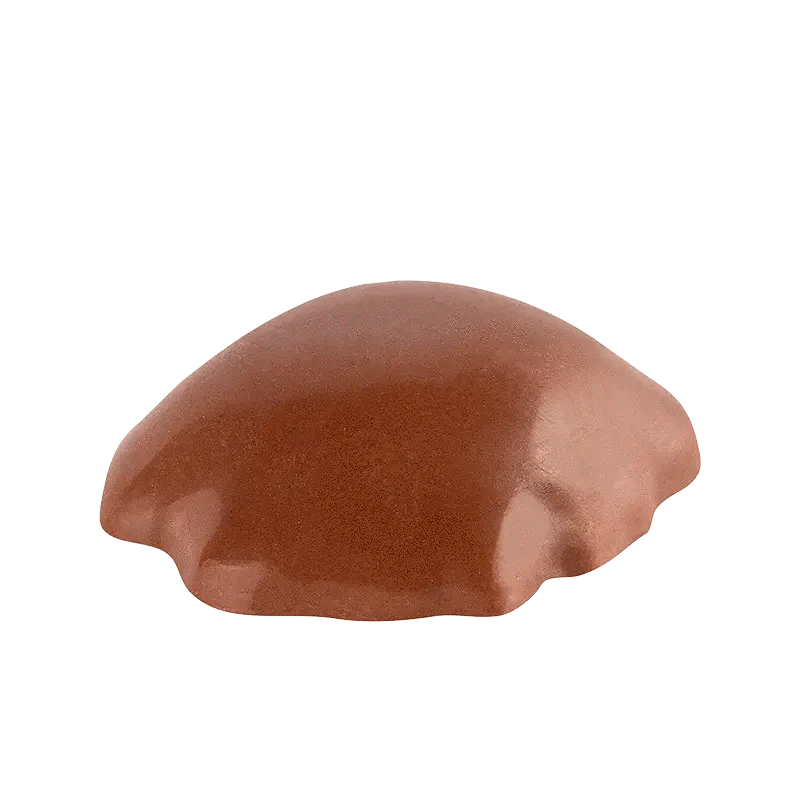 Chocolate Caramel Pecan Cluster - Image 2