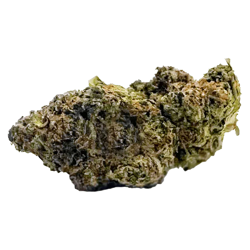 East Coast Dank'z - Image 2