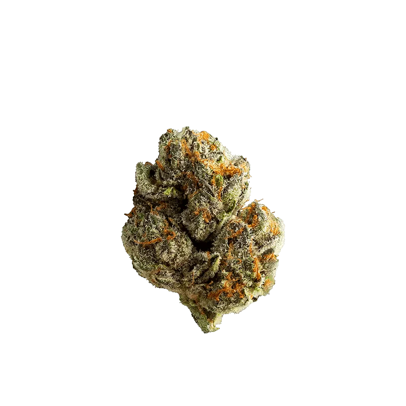 Lakeside Kush - Image 2