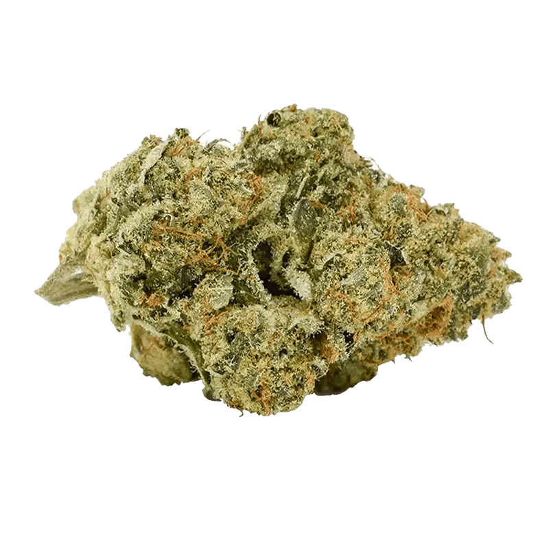 Mmmosa Evo - Image 2
