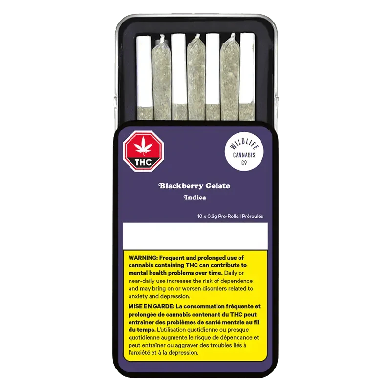 Blackberry Gelato PR 10 x 0.3g - Image 2